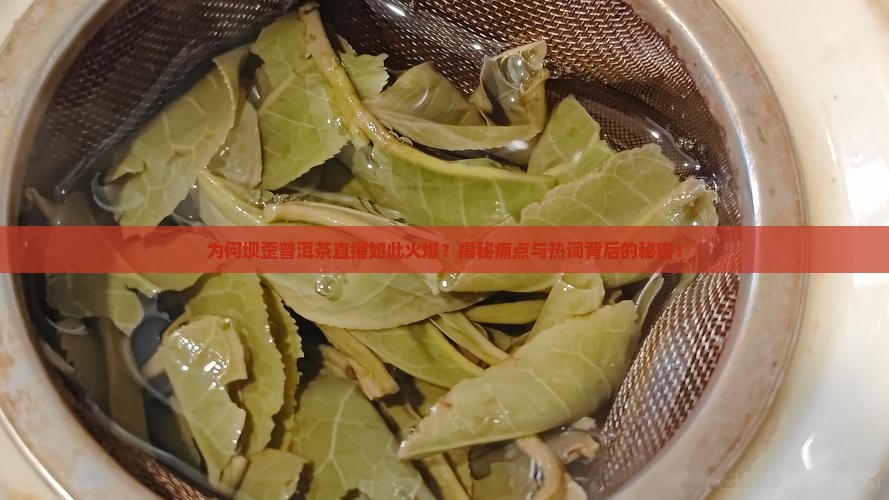 坝歪普洱茶直播