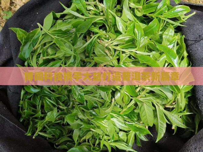 大益普洱茶与博闻科技