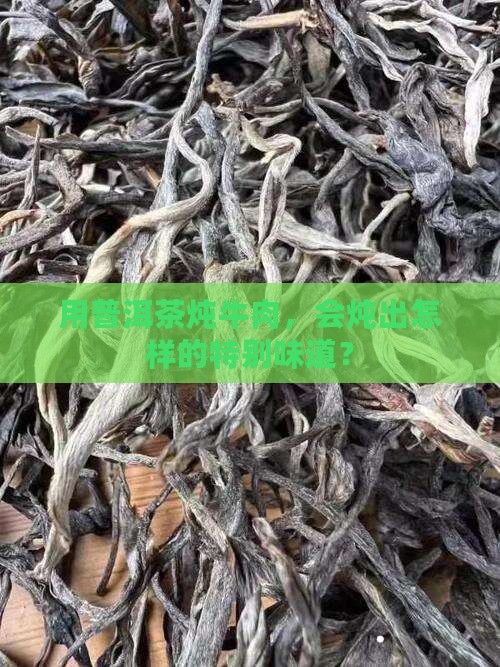 炖牛肉可以用普洱茶吗