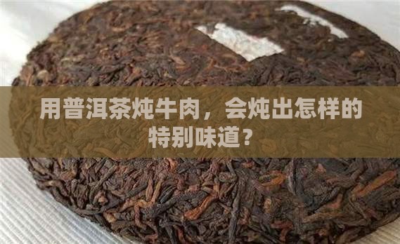 炖牛肉可以用普洱茶吗