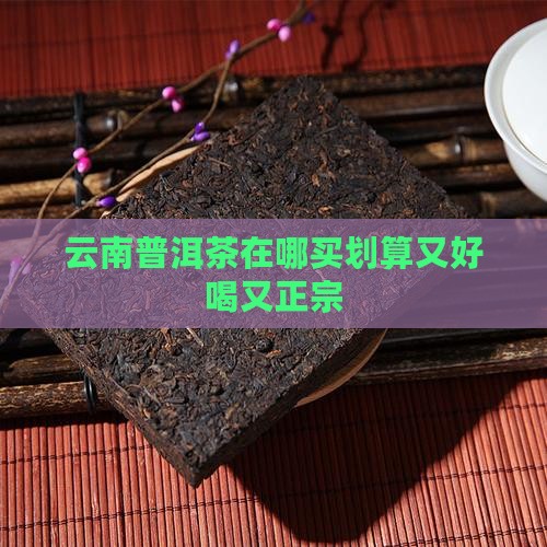 云南普洱茶在哪买划算又好