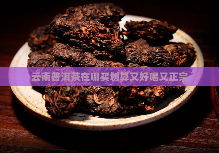云南普洱茶在哪买划算又好
