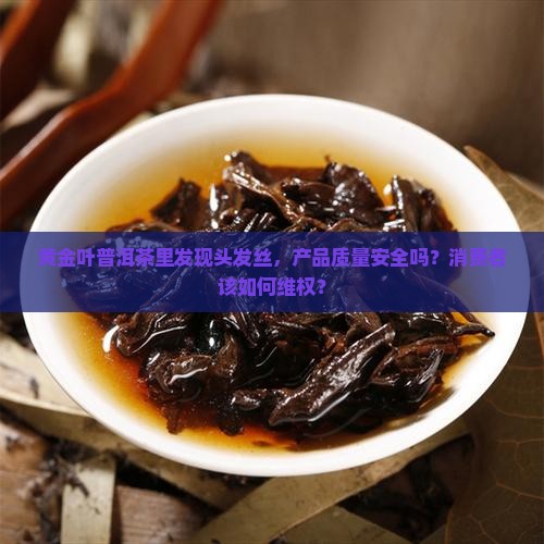 黄金叶普洱茶里有头发丝