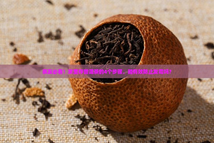 怎样存放普洱茶叶不会发霉