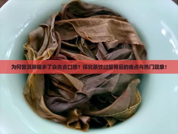 普洱茶喝多了喝不出滋味