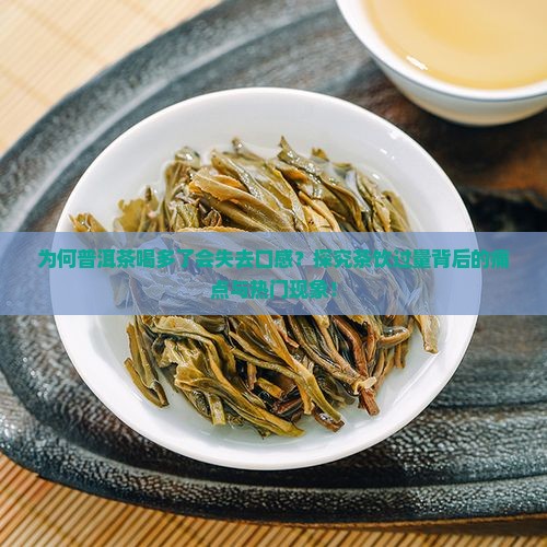 普洱茶喝多了喝不出滋味
