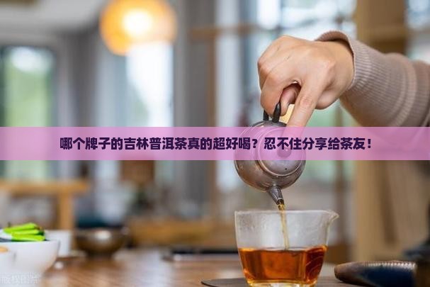 吉林普洱茶哪个牌子好喝