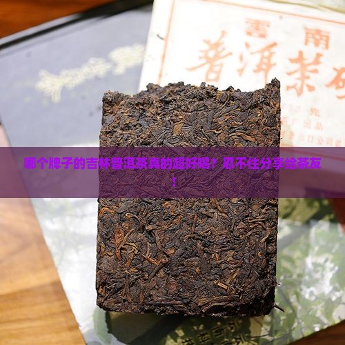 吉林普洱茶哪个牌子好喝