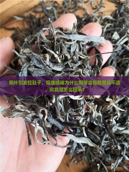 喝茶叶水为什么拉肚子