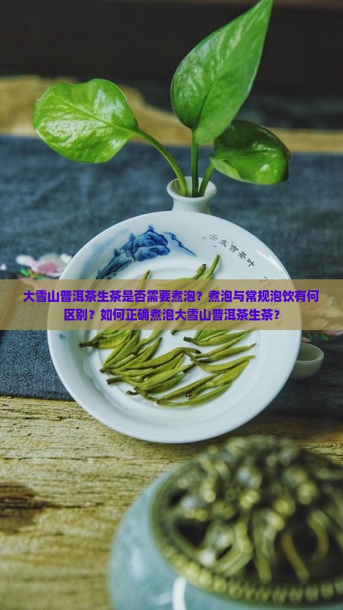 大雪山普洱茶生茶需要煮嘛