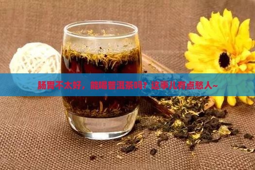 肠胃不好可以吃普洱茶吗