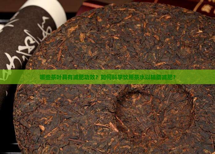 什么茶有减肥功能
