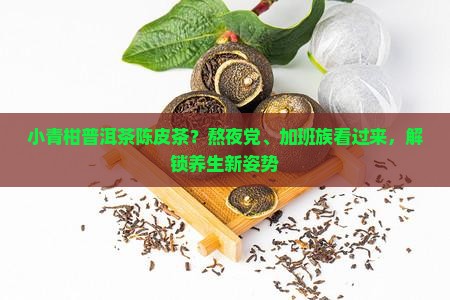小青柑普洱茶陈皮茶 小青柑普洱茶陈皮茶