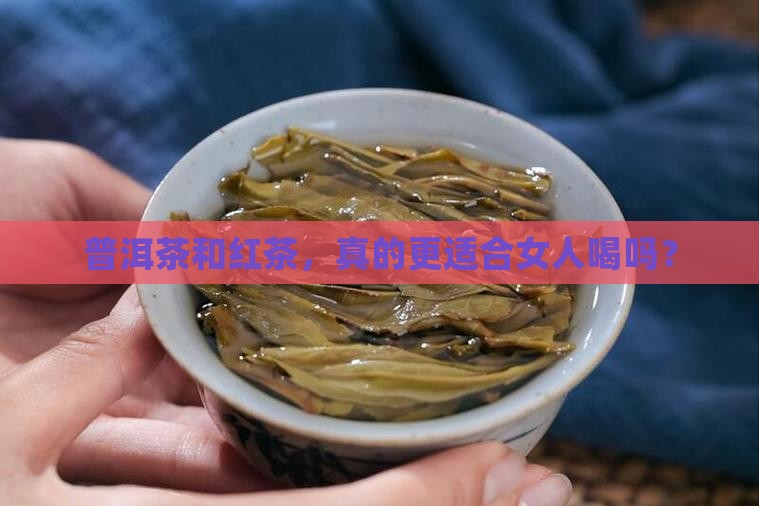 普洱茶红茶适合女人喝