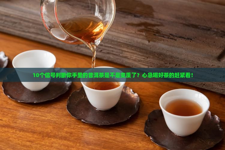 普洱茶如何判断坏没坏掉
