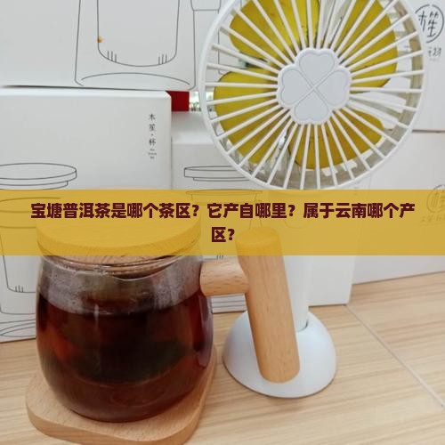 宝塘普洱茶是哪个茶区