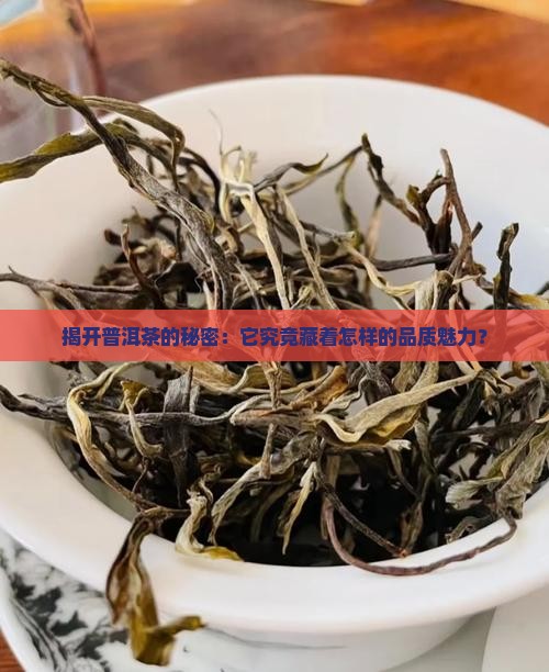 普洱茶品质定位