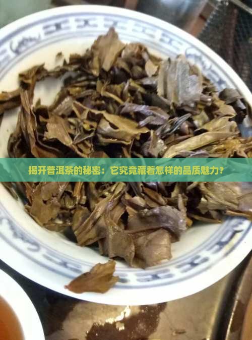 普洱茶品质定位