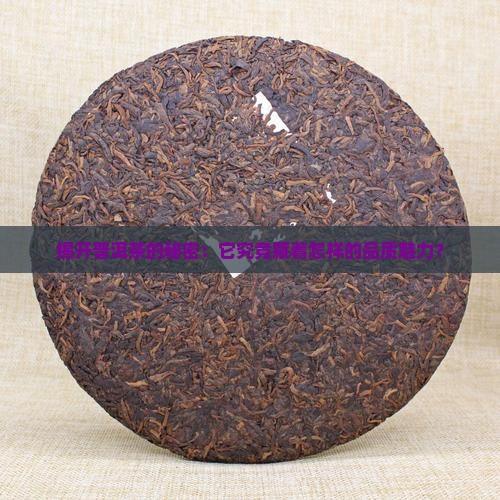 普洱茶品质定位