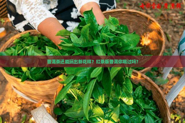 普洱茶红茶是什么意思