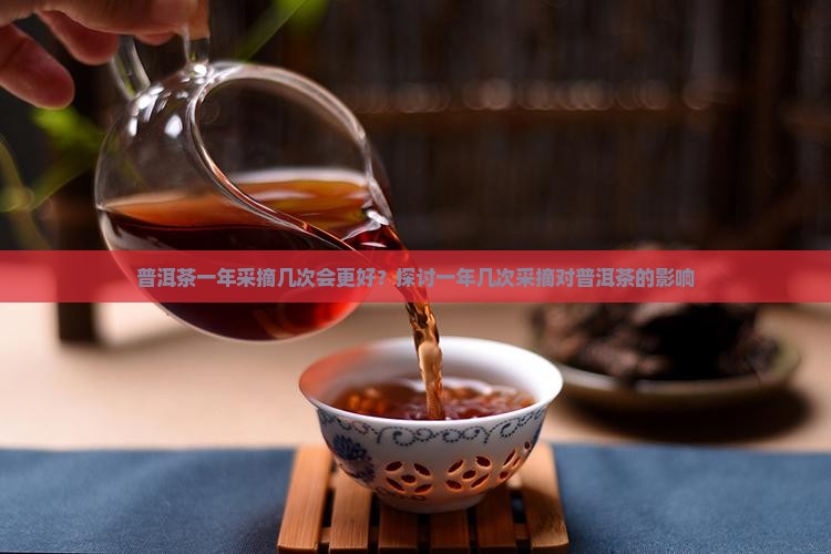 普洱茶一年一采会更好吗