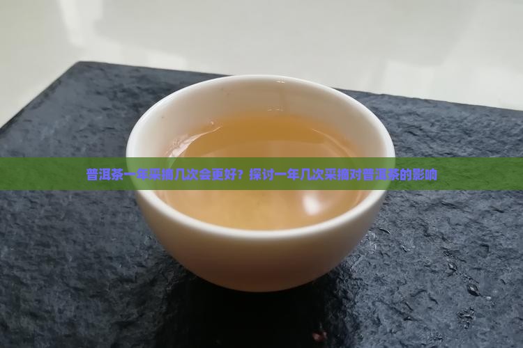 普洱茶一年一采会更好吗