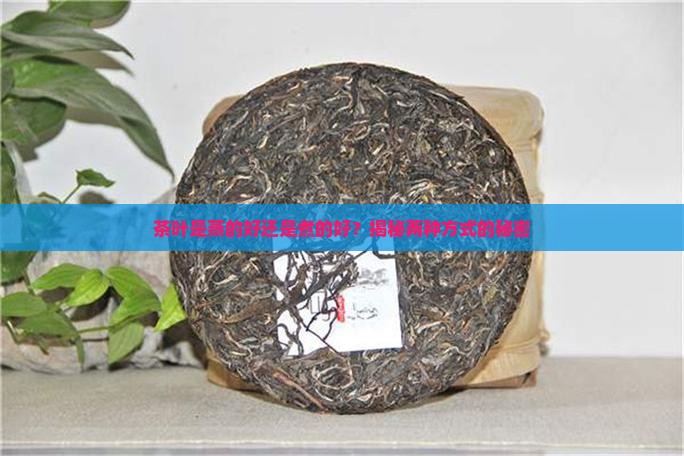 茶叶蒸和煮的区别
