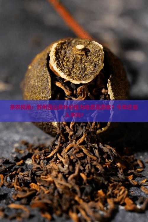 苏州西山茶叶价格