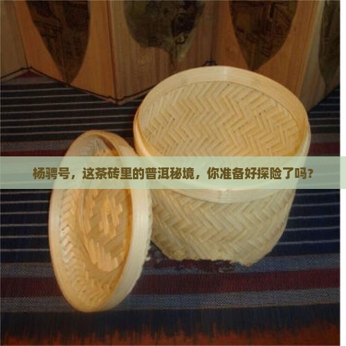 杨骋号茶砖普洱茶