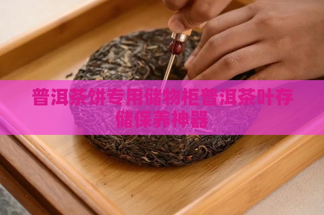 普洱茶饼储物柜