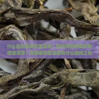 柳条簸箕普洱茶