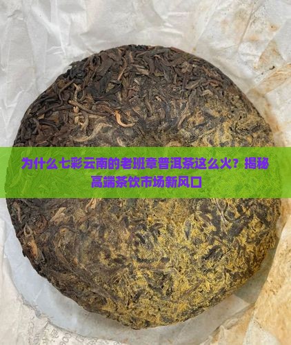 七彩云南的老班章