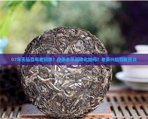 07年天弘百年老班章