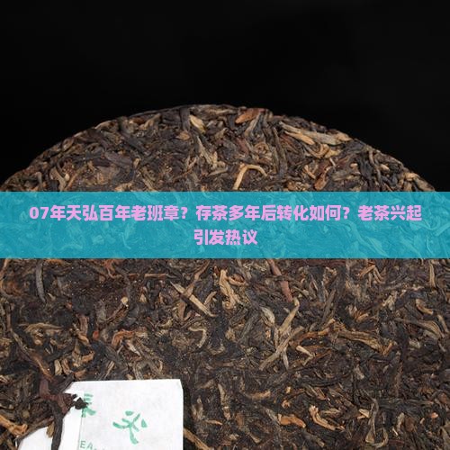 07年天弘百年老班章