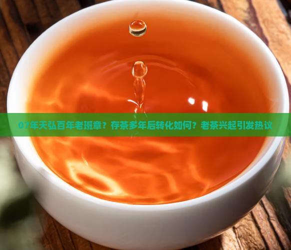 07年天弘百年老班章
