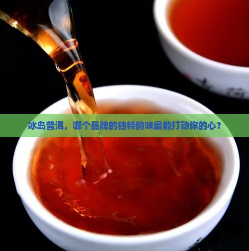 冰岛普洱茶那个牌子好