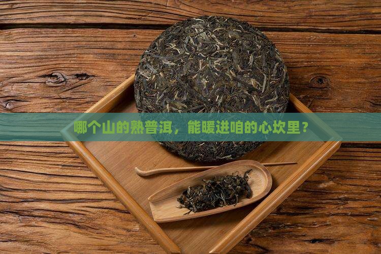 熟普洱茶哪个山好