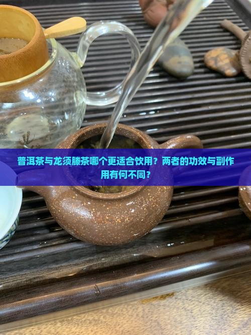 喝普洱茶好还是龙须滕茶好