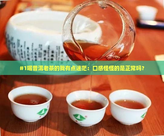 喝普洱老茶感觉