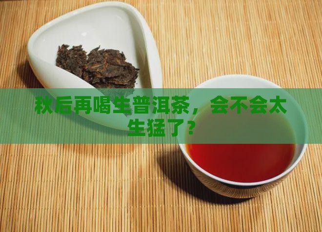 秋后能喝生普洱茶吗