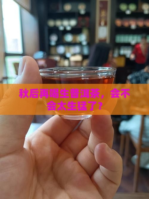 秋后能喝生普洱茶吗