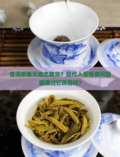 普洱茶集天地之精华