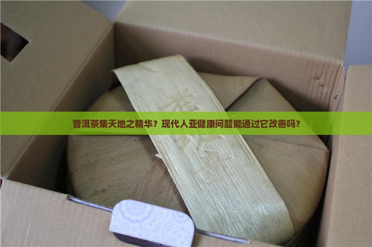 普洱茶集天地之精华