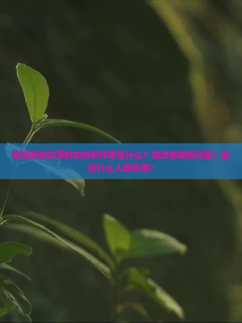 普洱茶加甘草的功效和作用
