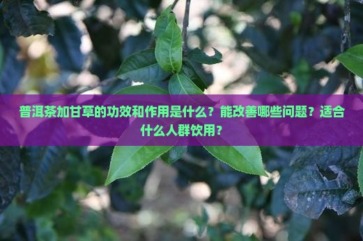 普洱茶加甘草的功效和作用