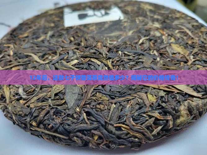 七子饼普洱茶价格12年