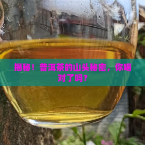 普洱茶按山头分为