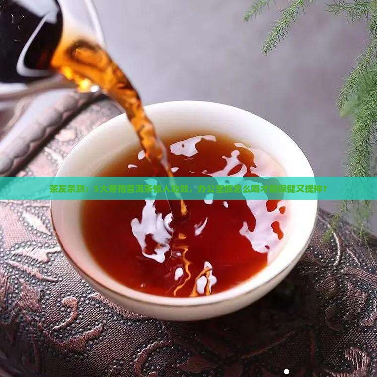 芽孢普洱茶功效