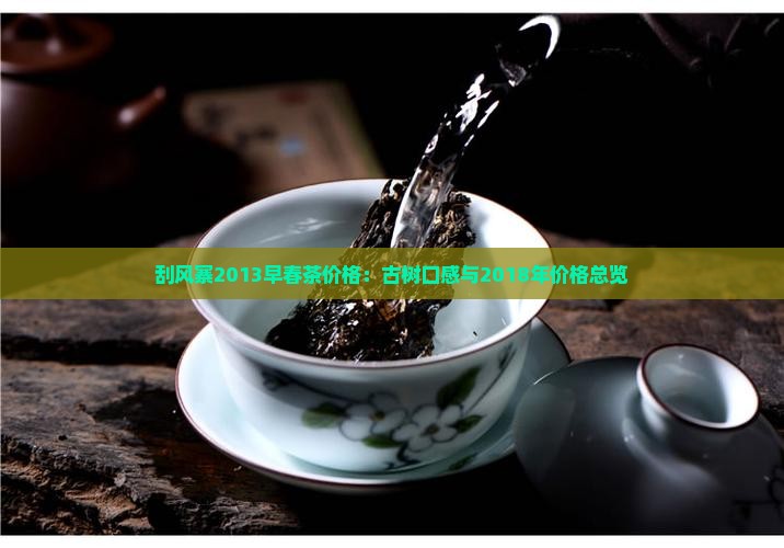 刮风寨2013早春茶价格