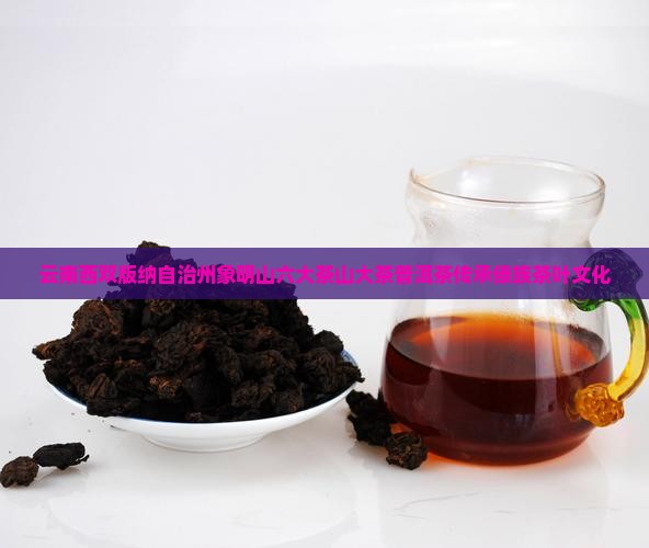 西双版纳象明山普洱茶